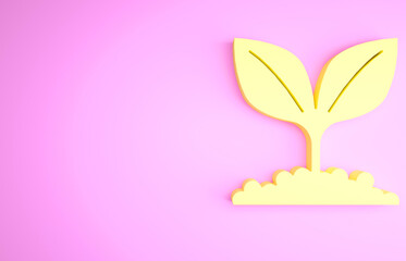 Yellow Plant icon isolated on pink background. Seed and seedling. Leaves sign. Leaf nature. Minimalism concept. 3d illustration 3D render