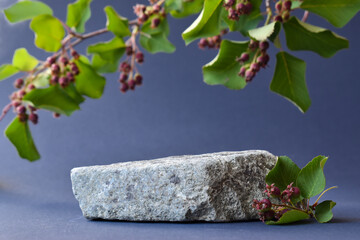 Minimalistic scene of a lying stone with a branch and berries on a blue background. Catwalk for the...