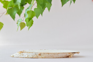 A minimalistic scene with a lying birch tree and a green twig. Catwalk for the presentation of...