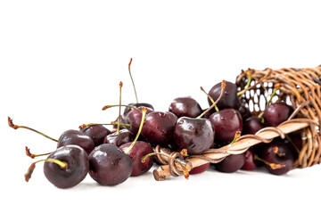 Ripe sweet cherries spilling out of overturned wicker basket on white background