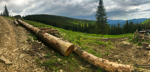 Operation and felling of trees in the mountains of Ukraine