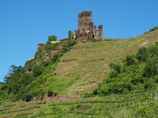 Fototapeta na wymiar Burg Metternich bei Beilstein an der Mosel