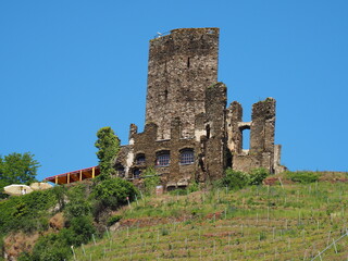 Fototapeta na wymiar Burg Metternich bei Beilstein an der Mosel