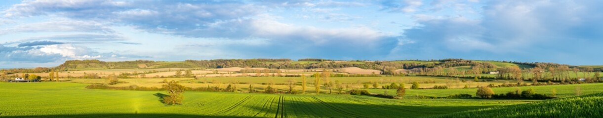 Fototapeta na wymiar Green field panorama in spring season. Landscape of England 