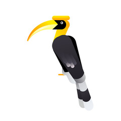 The hornbill bird. Vector illustration of tropical birds
