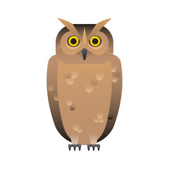 The owl isolated on green background. Vector illustration of forest birds