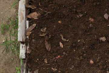Black soil mixed with compost, prepare for grow vegetable at home garden. top view