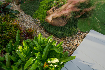 Garden with stone path and grass fern are growing up.Detail of a botanical garden.