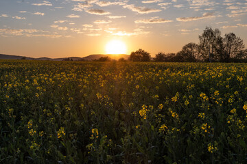 Country landscape in sunshine in Germany