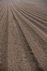 Background of arable land in sunlight