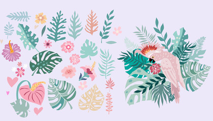 Tropical Flower and Birds set 2