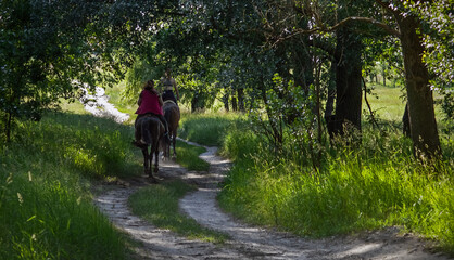Country road between trees with horse riders galloping on horses.
