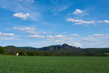 Fototapeta premium Blick auf die Schrammsteine in der Sächsischen Schweiz