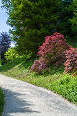 Garden landscapes in the countryside