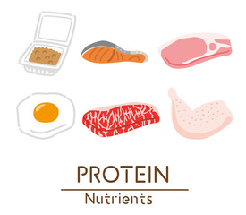 タンパク質を多く含む食品のイラスト