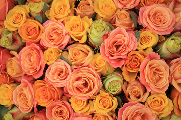 Naklejka premium Yellow and orange roses