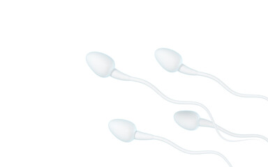 Human sperm cells, 3d rendering.