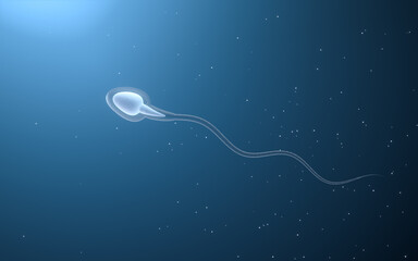 Human sperm cells, 3d rendering.