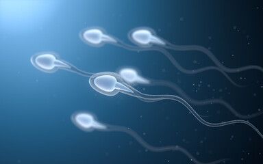 Human sperm cells, 3d rendering. - obrazy, fototapety, plakaty