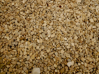 texture of stones. Small marskaya pebbles. Small stones are white, yellow, sandy in color.