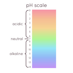 pH scale diagram. Vector rainbow illustration