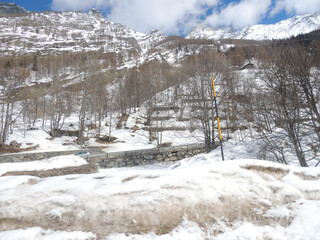 Italy, Aosta valley. Snowy mountains and trees next to the river and road. Fauna	
