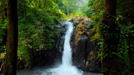 waterfall with rocks among tropical jungle with green plants and trees and water falling down into river