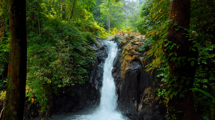 Obraz premium waterfall with rocks among tropical jungle with green plants and trees and water falling down into river