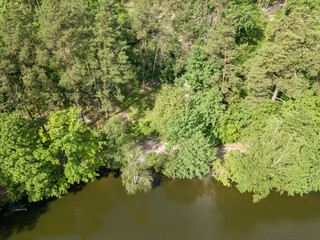 The shore of a forest lake. Aerial drone view.