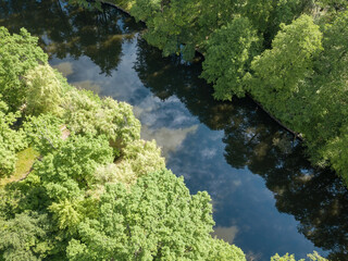 Stream among green trees in spring. Aerial drone view.