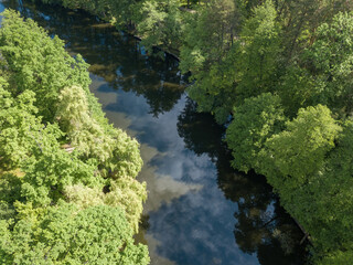 Stream among green trees in spring. Aerial drone view.