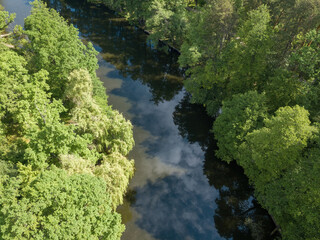 Naklejka na ściany i meble Stream among green trees in spring. Aerial drone view.