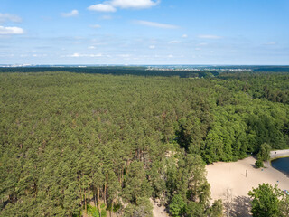 Green forest in summer. Aerial drone view.