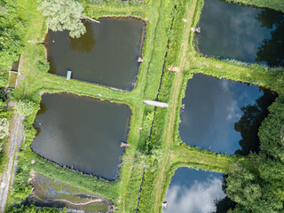 Fish farm ponds. Aerial drone view.