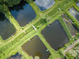 Fish farm ponds. Aerial drone view.