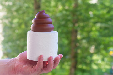 A squishy toy in the shape of a brown poop on toilet paper. The concept of going to the toilet