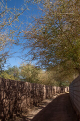 Calles De San Pedro de Atacama - Chile