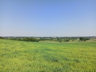 field and blue sky