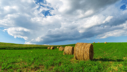 Countryside hay bales in the field