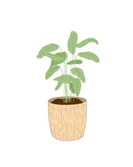 Green leaves homeplant in a trendy beige clay pot isolated hand painted image, simple scandinavian style digital illustration interior design symbol of cozy home, comfort, family