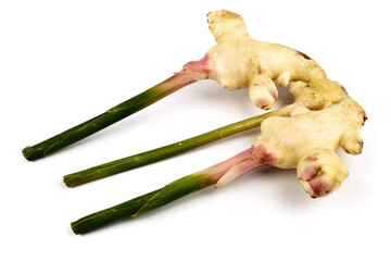Fresh ginger root or rhizome isolated on white background, Ingredients of herbs for healing and...