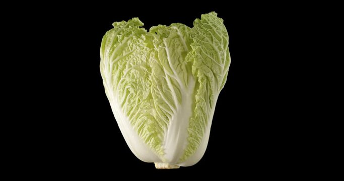 Green beijing cabbage rotation alpha channel. Vegetable