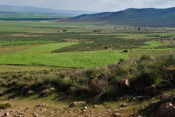 Espaces, hauts plateaux, algerie