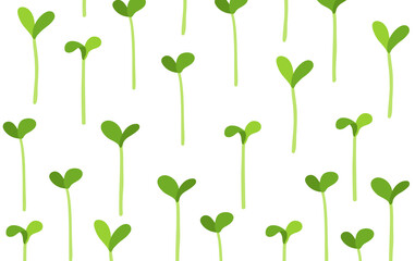 Seedlings field. Growing young plant shoots. Crops seed began to sprout. Vector background.