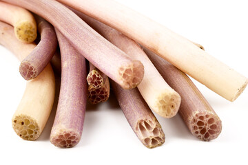 Lotus stem or Renkon (Nelumbo nucifera) isolated on white background, Plants growing in water Can be food or dessert.
