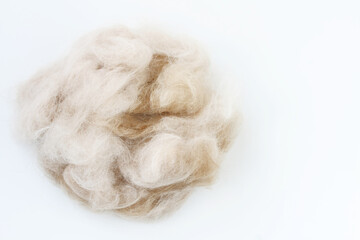 hairball, fur ginger cat on white background