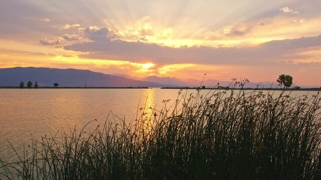 Colorful sunset rays reaching into the sky as reeds blows at Utah Lake durning summer.
