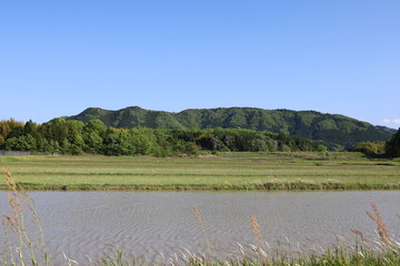 素敵な山と緑