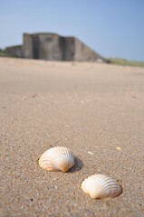 Remains of bunkers at Utah beach in Normandy, France