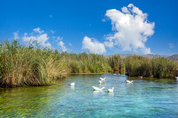 Turkey Akyaka Azmak River, Travel concept photo